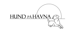 Hund på havna